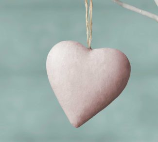 sg-leafletheart-325x293