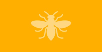 Manchester Bee 22 May